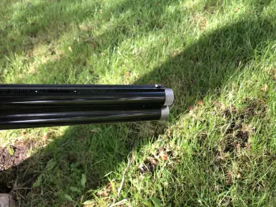 Gun Image 3