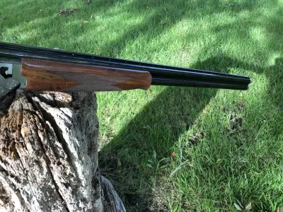 Gun Image 5