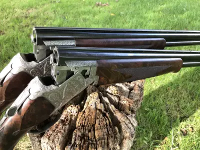 Gun Image 4