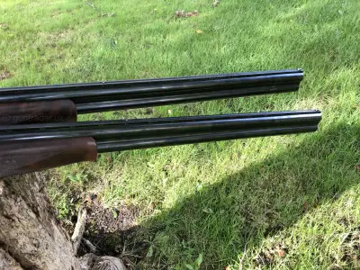 Gun Image 9
