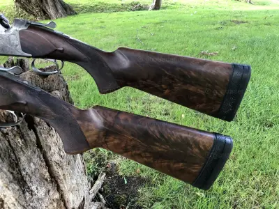 Gun Image 2