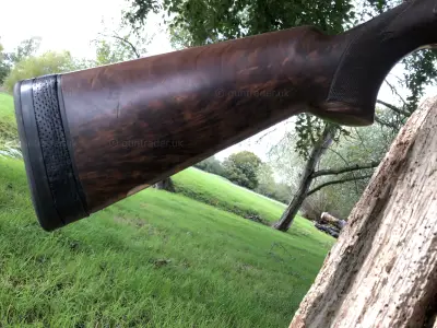 Gun Image 3