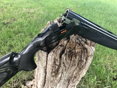 Gun Image 4