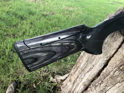 Gun Image 1