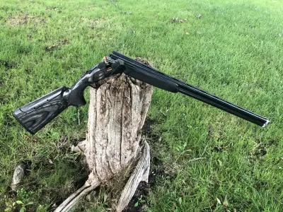 Gun Image 2