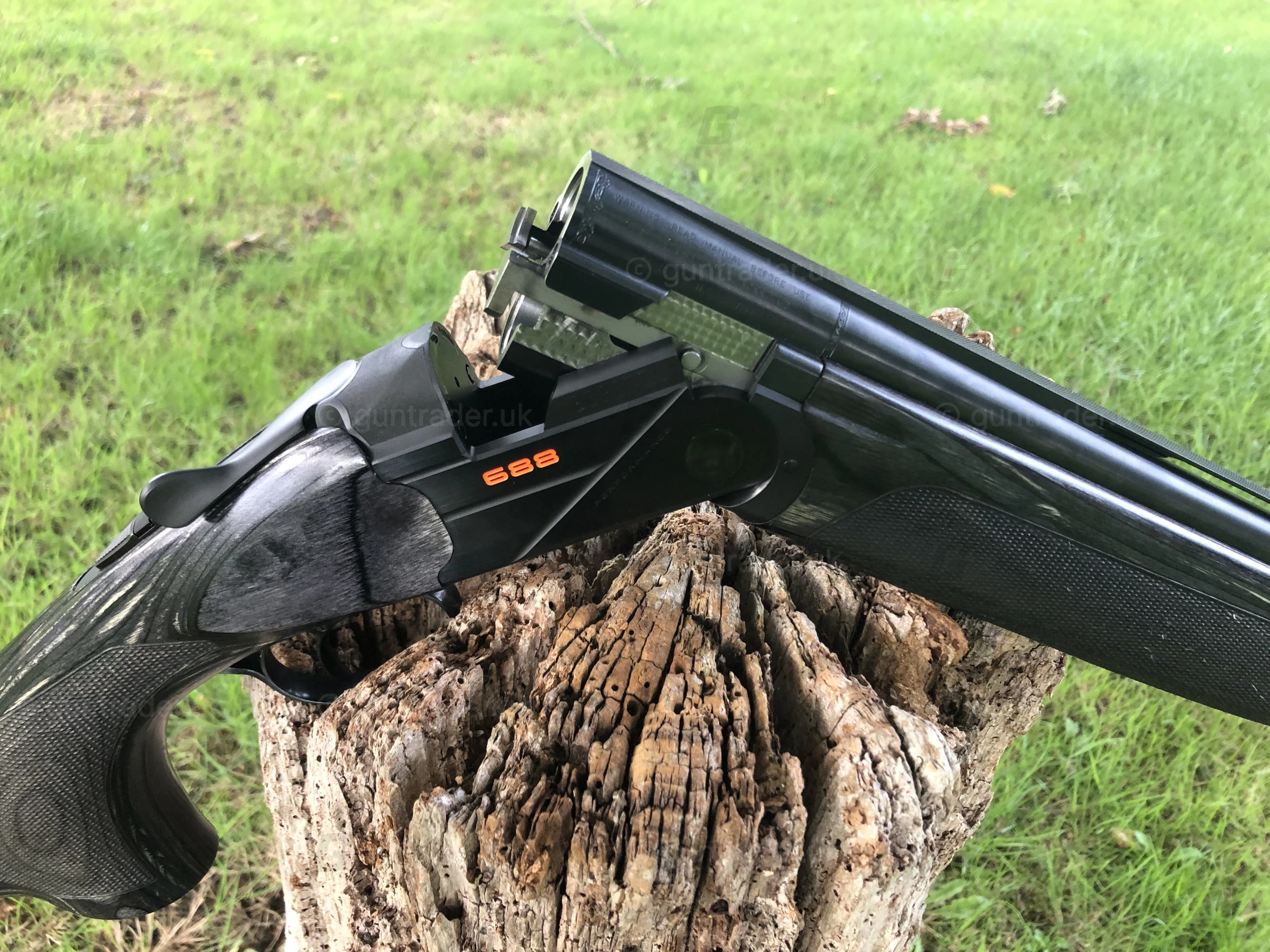 Photo of this gun