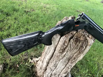 Gun Image 4