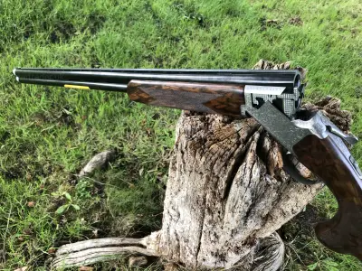 Gun Image 7
