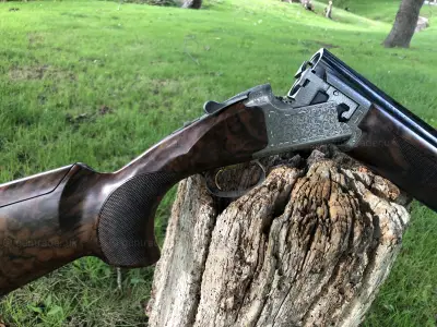 Gun Image 4