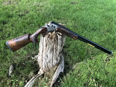 Gun Image 10