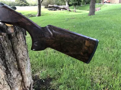 Gun Image 2