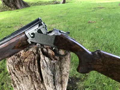 Gun Image 8