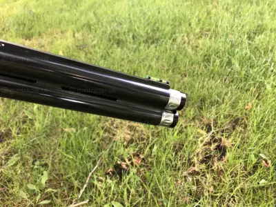 Gun Image 1