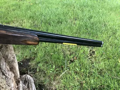 Gun Image 9