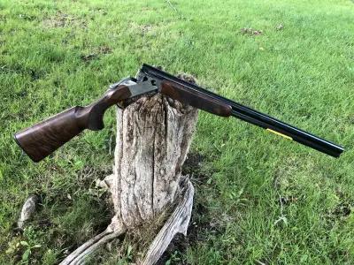 Gun Image 4