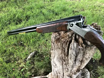 Gun Image 3