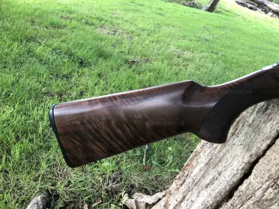 Gun Image 1