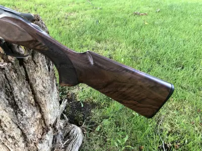 Gun Image 2
