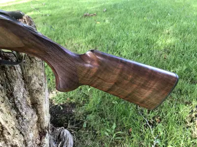 Gun Image 1