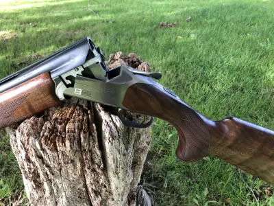 Gun Image 3