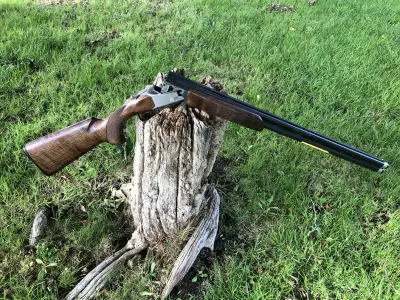 Gun Image 6