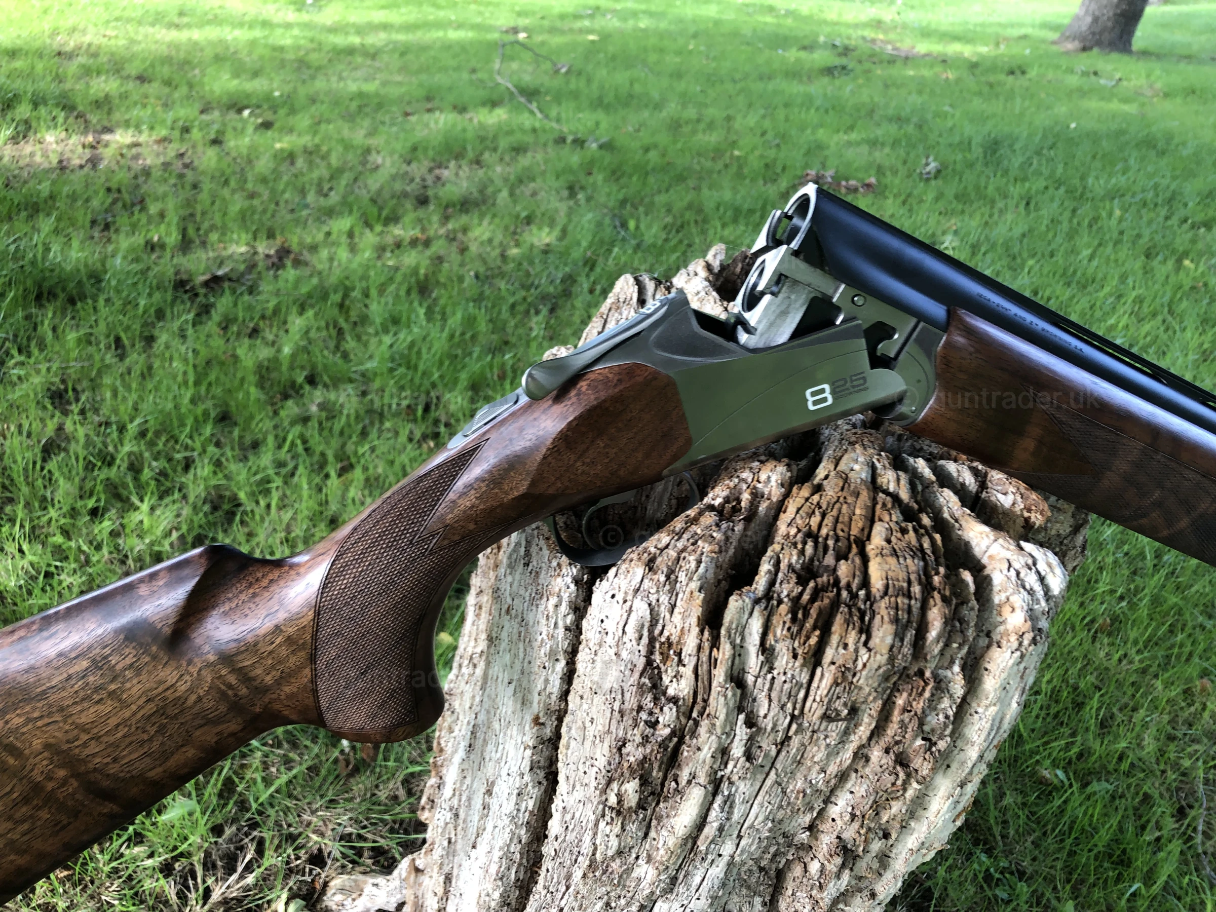 Photo of this gun