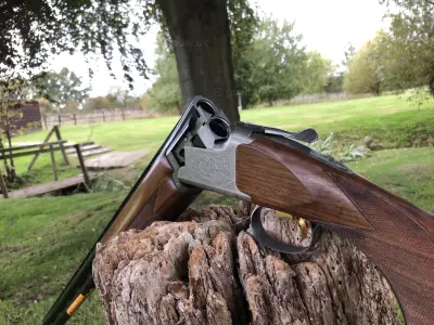 Gun Image 2