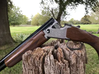 Gun Image 1