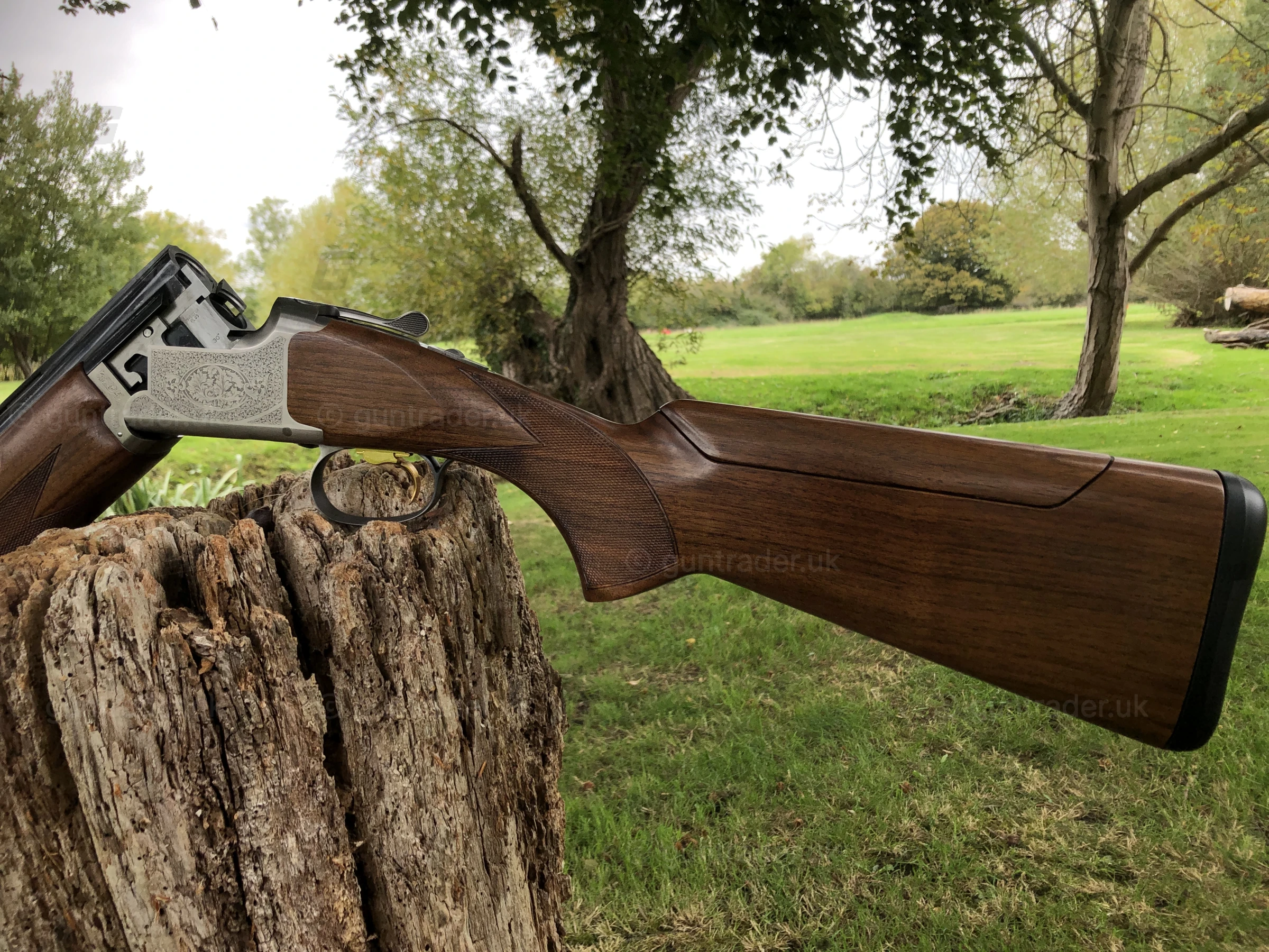 Photo of this gun