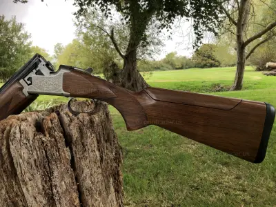 Gun Image 3