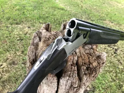 Gun Image 2