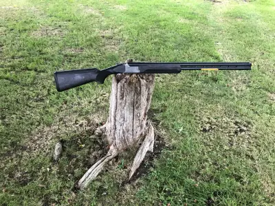 Gun Image 3