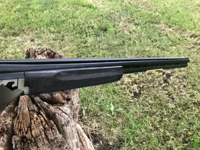 Gun Image 6