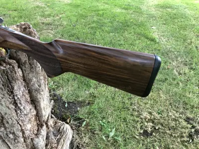 Gun Image 5