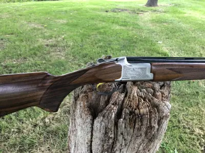Gun Image 6