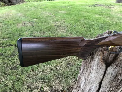 Gun Image 4
