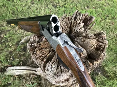 Gun Image 2