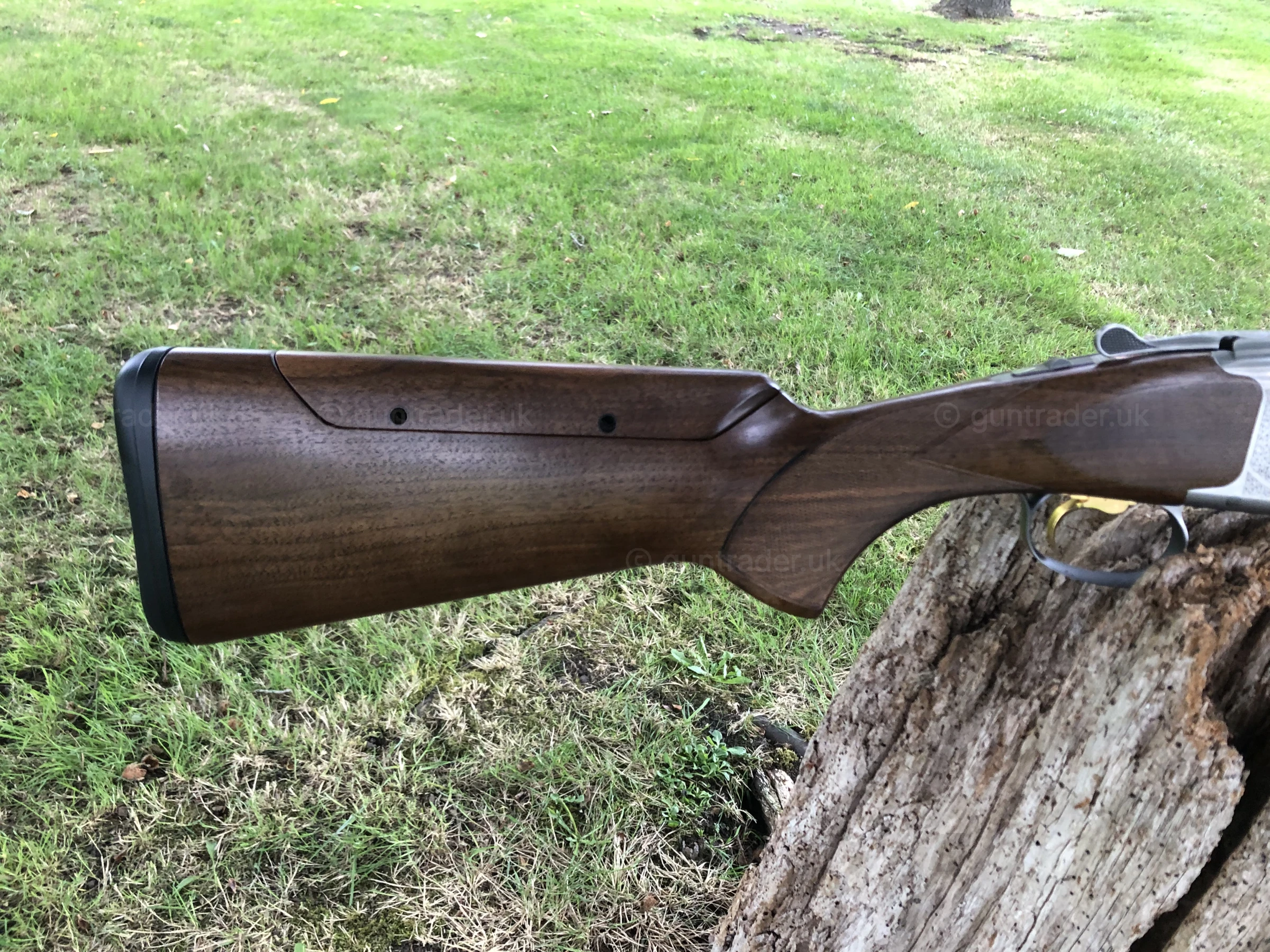 Photo of this gun