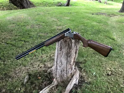 Gun Image 7