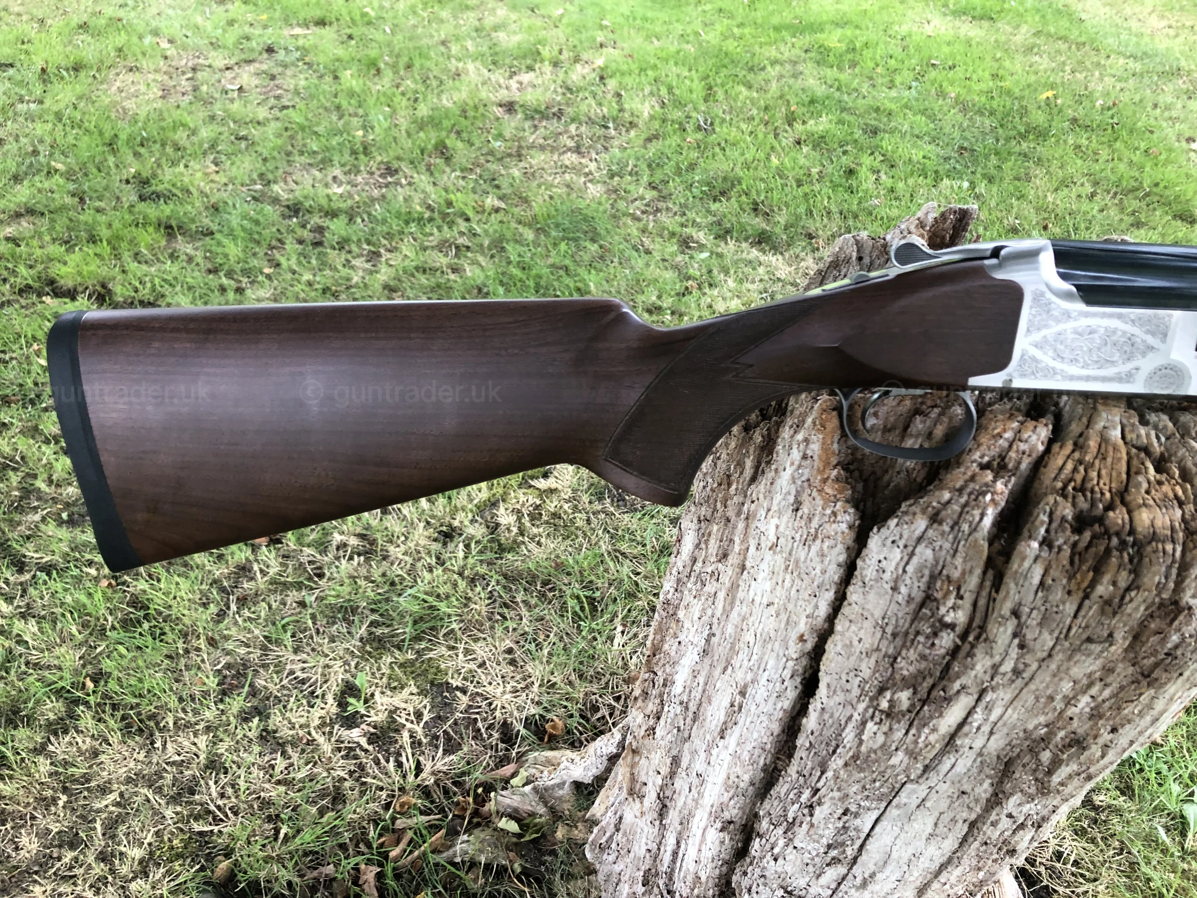 Photo of this gun