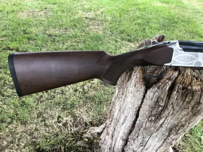 Gun Image 6
