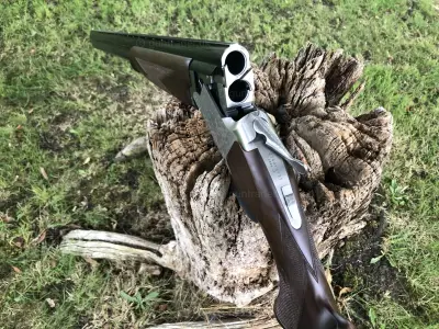 Gun Image 2