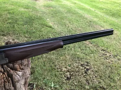 Gun Image 4