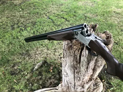 Gun Image 7