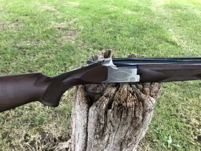 Gun Image 3