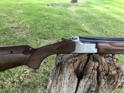 Gun Image 3