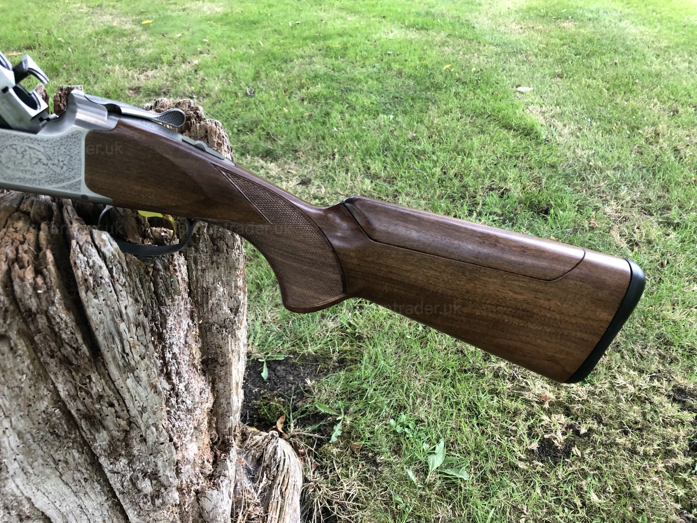 Photo of this gun