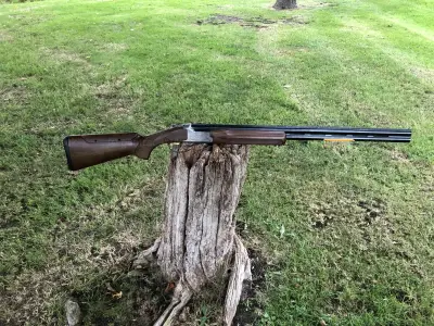 Gun Image 7