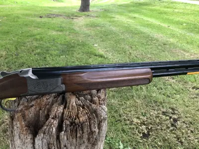 Gun Image 2