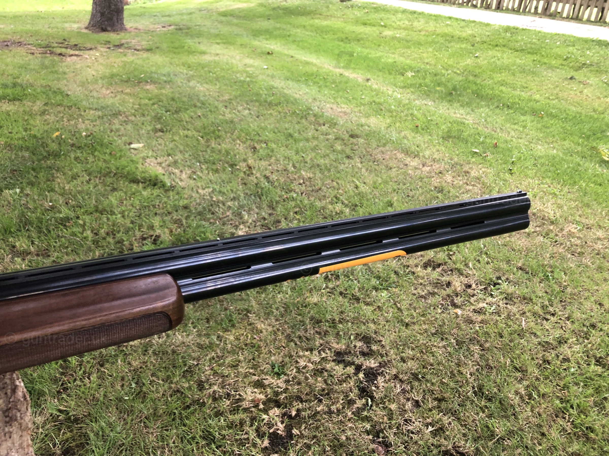 Photo of this gun